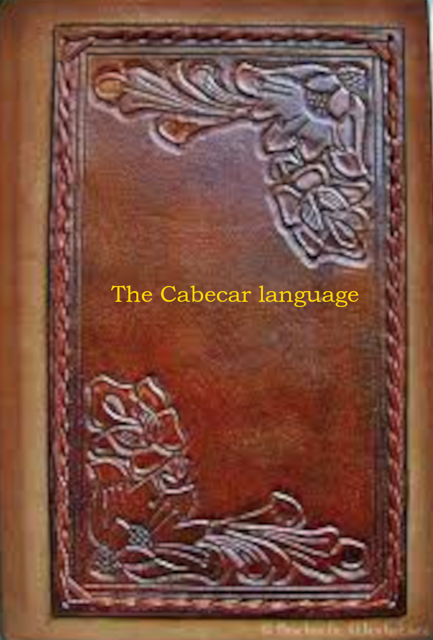Book 'The Cabecar language'